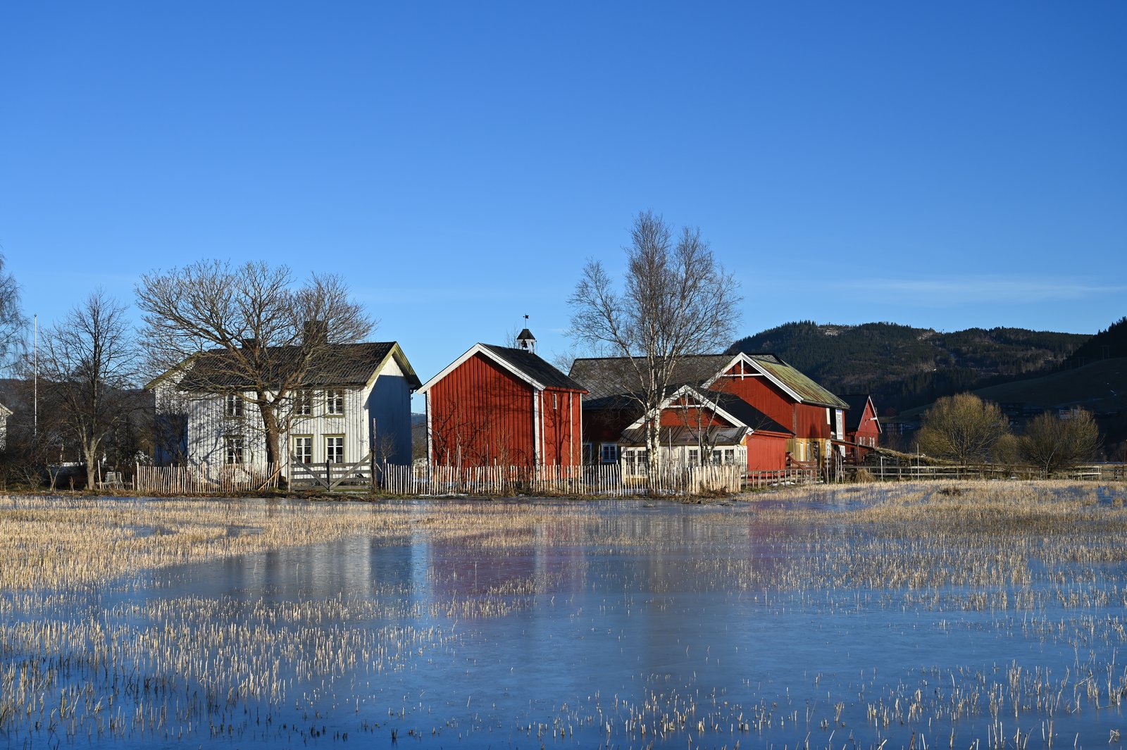 Fannremsgården reflected in the water with a red barn and white longhouse